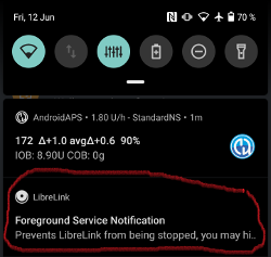 LibreLink Vordergrund Service